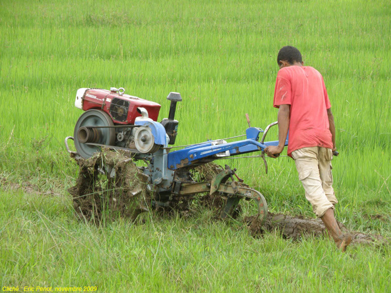 Agriculture